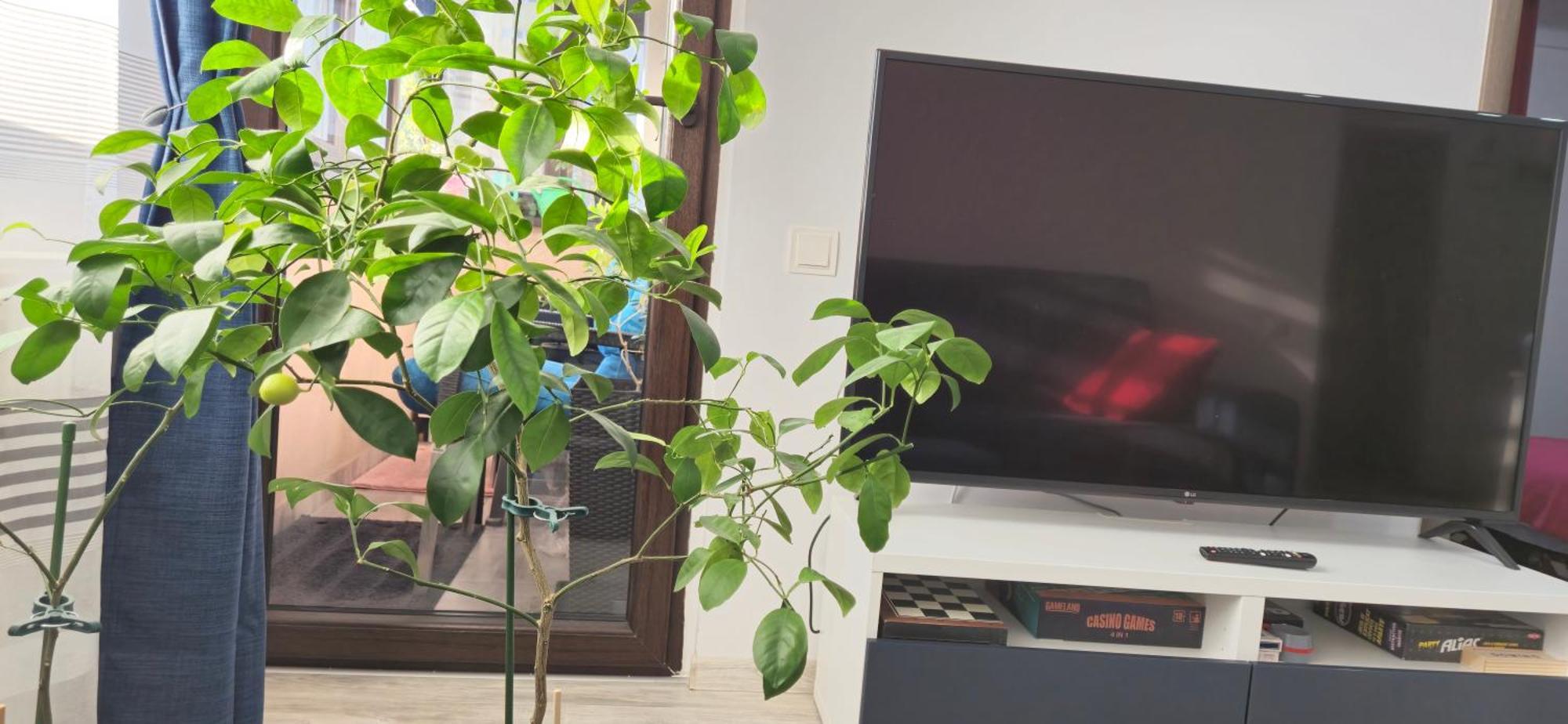 Littlebig Apartment Βουκουρέστι Εξωτερικό φωτογραφία